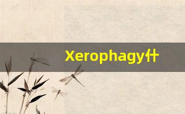 Xerophagy什么意思,Xerophagy用法,Xerophagy造句,Xerophagy的发音-第1张图片-我的生活随想