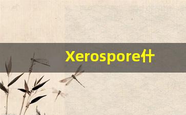 Xerospore什么意思,Xerospore用法,Xerospore造句,Xerospore的发音-第1张图片-我的生活随想