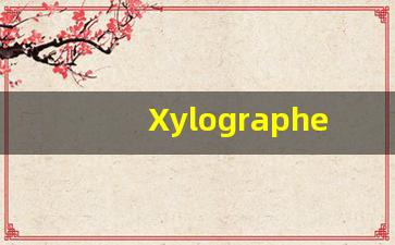 Xylographer什么意思,Xylographer用法,Xylographer造句,Xylographer的发音-第1张图片-我的生活随想