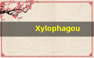Xylophagous什么意思,Xylophagous用法,Xylophagous造句,Xylophagous的发音-第1张图片-我的生活随想