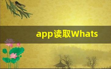 app读取WhatsApp信息