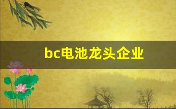 bc电池龙头企业(hbc电池龙头公司)_https://www.taocizhiliang.com_设计报价_第1张