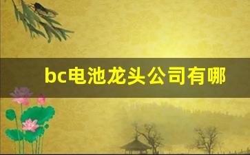 bc电池龙头公司有哪些(bc电池龙头公司有哪些股票)_https://www.lclxwz.com_郑商所_第1张