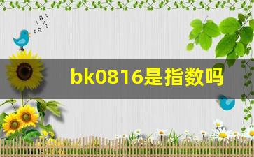 bk0816是指数吗(指数b是什么意思)_https://www.brunchezvous.com_旅游景点_第1张