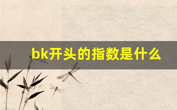 bk开头的指数是什么意思(bk0816是指数吗)_https://www.jumanxin.com_上交所_第1张
