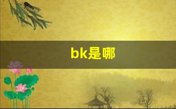 bk是哪(BK是哪里的车牌)_https://www.wguangz.com_郑商所_第1张
