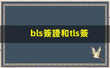 bls簽證和tls簽證(l1b簽證)