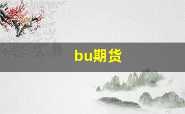 bu期货(不锈钢期货)_https://www.taocizhiliang.com_装修公司_第1张