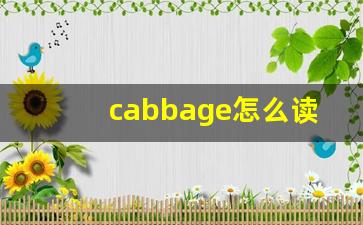 cabbage怎么读,cabbage中文翻译,cabbage什么意思,cabbage用法及例句-第1张图片-我的生活随想