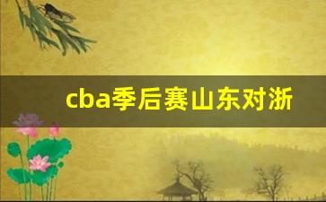 cba季后赛山东对浙江-cba山东对浙江比赛视频直播