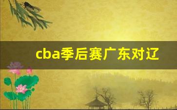 cba季后赛广东vs辽宁-cba季后赛广东对辽宁第三场