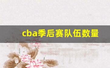 cba季后赛队伍数量-cba季后赛参赛队伍