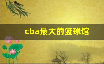cba最大主场-cba最大的篮球馆