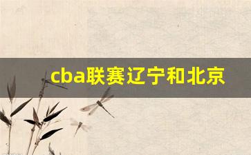 cba联赛辽宁和北京的比赛时间-cba联赛辽宁和北京的比赛