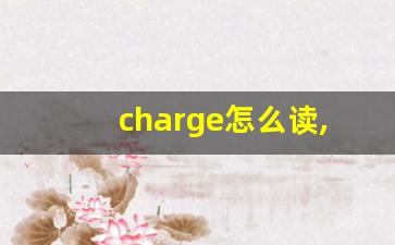 charge怎么读,charge中文翻译,charge什么意思,charge用法及例句-第1张图片-我的生活随想