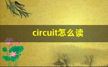 circuit怎么读,circuit中文翻译,circuit什么意思,circuit用法及例句-第1张图片-我的生活随想