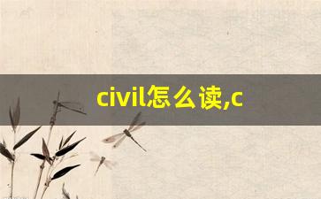 civil怎么读,civil中文翻译,civil什么意思,civil用法及例句-第1张图片-我的生活随想