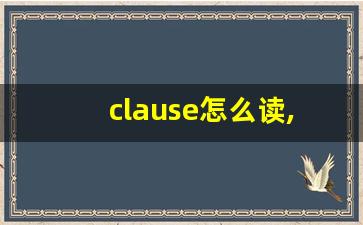 clause怎么读,clause中文翻译,clause什么意思,clause用法及例句-第1张图片-我的生活随想