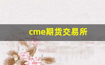 cme期货交易所(cme期货开盘时间)_https://www.hangfeite.com_深交所_第1张