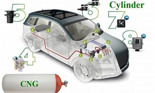cng汽车电脑系统有几种-汽车cng电脑版通用吗