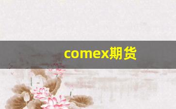 comex期货(comex期货预测)_https://www.wguangz.com_广期所_第1张