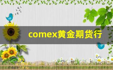 comex黄金期货行情(comex黄金 期货行情)_https://www.hbxfywj.com_证券知识_第1张