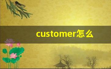 customer怎么读,customer中文翻译,customer什么意思,customer用法及例句-第1张图片-我的生活随想