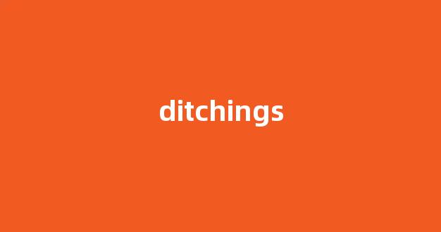 Ditching中文翻译,啥意思，Ditching用法及例句(dite的中文)-第1张图片-我的生活随想