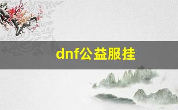 DNF公益服挂