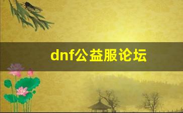 地下城公益服发布网：dnf公益服论坛(dnf公益服哪个值得一玩) (4)