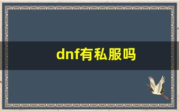 dnf私发网开服表：dnf有私服吗 (6)
