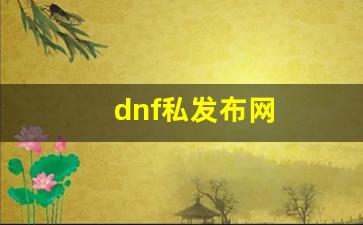 dnf私发布网(dnf官网发布会) (2)