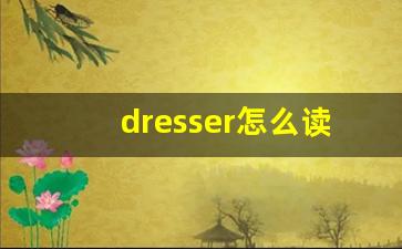 dresser怎么读,dresser中文翻译,dresser什么意思,dresser用法及例句-第1张图片-我的生活随想