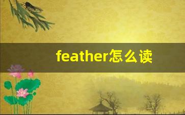 feather怎么读,feather中文翻译,feather什么意思,feather用法及例句-第1张图片-我的生活随想