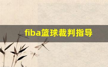 篮球裁判ltc-fiba篮球裁判指导光盘2