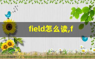 field怎么读,field中文翻译,field什么意思,field用法及例句-第1张图片-我的生活随想