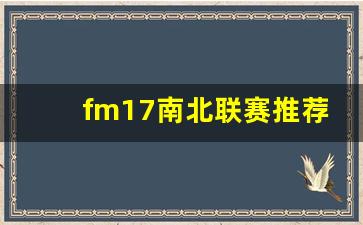 fm17南北联赛推荐-fm2019南北联赛