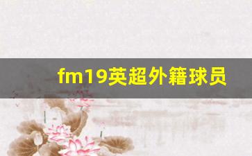 fm19英超外籍球员-fm2019英超好玩的球队
