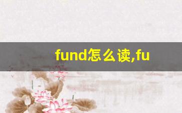 fund怎么读,fund中文翻译,fund什么意思,fund用法及例句-第1张图片-我的生活随想