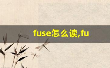 fuse怎么读,fuse中文翻译,fuse什么意思,fuse用法及例句-第1张图片-我的生活随想