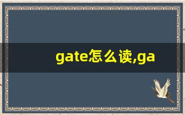gate怎么读,gate中文翻译,gate什么意思,gate用法及例句-第1张图片-我的生活随想