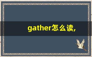 gather怎么读,gather中文翻译,gather什么意思,gather用法及例句-第1张图片-我的生活随想
