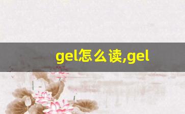 gel怎么读,gel中文翻译,gel什么意思,gel用法及例句-第1张图片-我的生活随想
