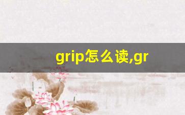 grip怎么读,grip中文翻译,grip什么意思,grip用法及例句-第1张图片-我的生活随想