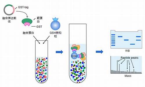 gst区块链技术最新消息(gsn这个区块链可靠吗)(图1)