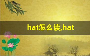 hat怎么读,hat中文翻译,hat什么意思,hat用法及例句-第1张图片-我的生活随想