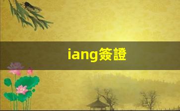 iang簽證(iang簽證是什么意思)