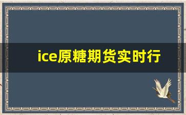 ice原糖期货实时行情(ice国际原糖期货走势)_https://www.fzdzcxj.com_北交所_第1张