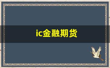 ic金融期货_https://www.eamstsz.com_上交所_第1张