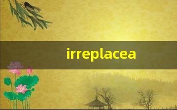 irreplaceable什么意思,irreplaceable中文翻译,irreplaceable用法及例句,irreplaceable怎么读-第1张图片-我的生活随想